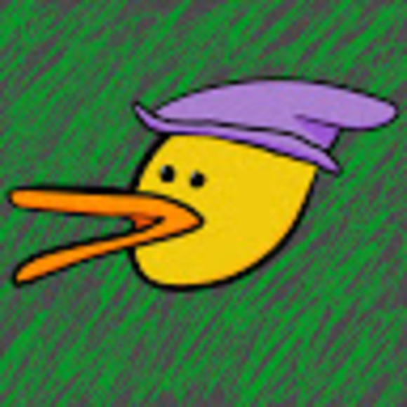 duck_wizard